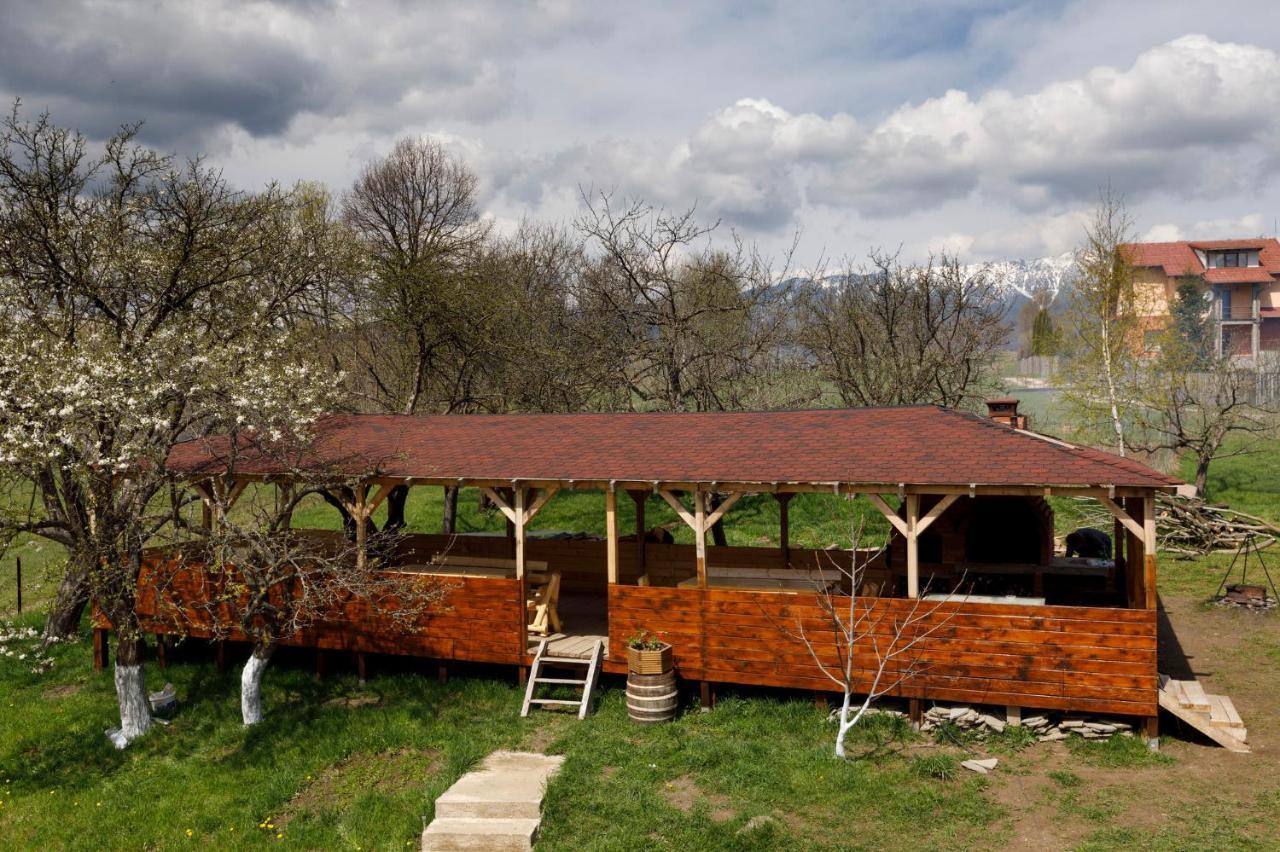 Transylvanian House Drumu Carului Zewnętrze zdjęcie