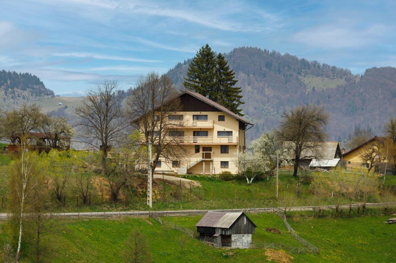 Transylvanian House Drumu Carului Zewnętrze zdjęcie