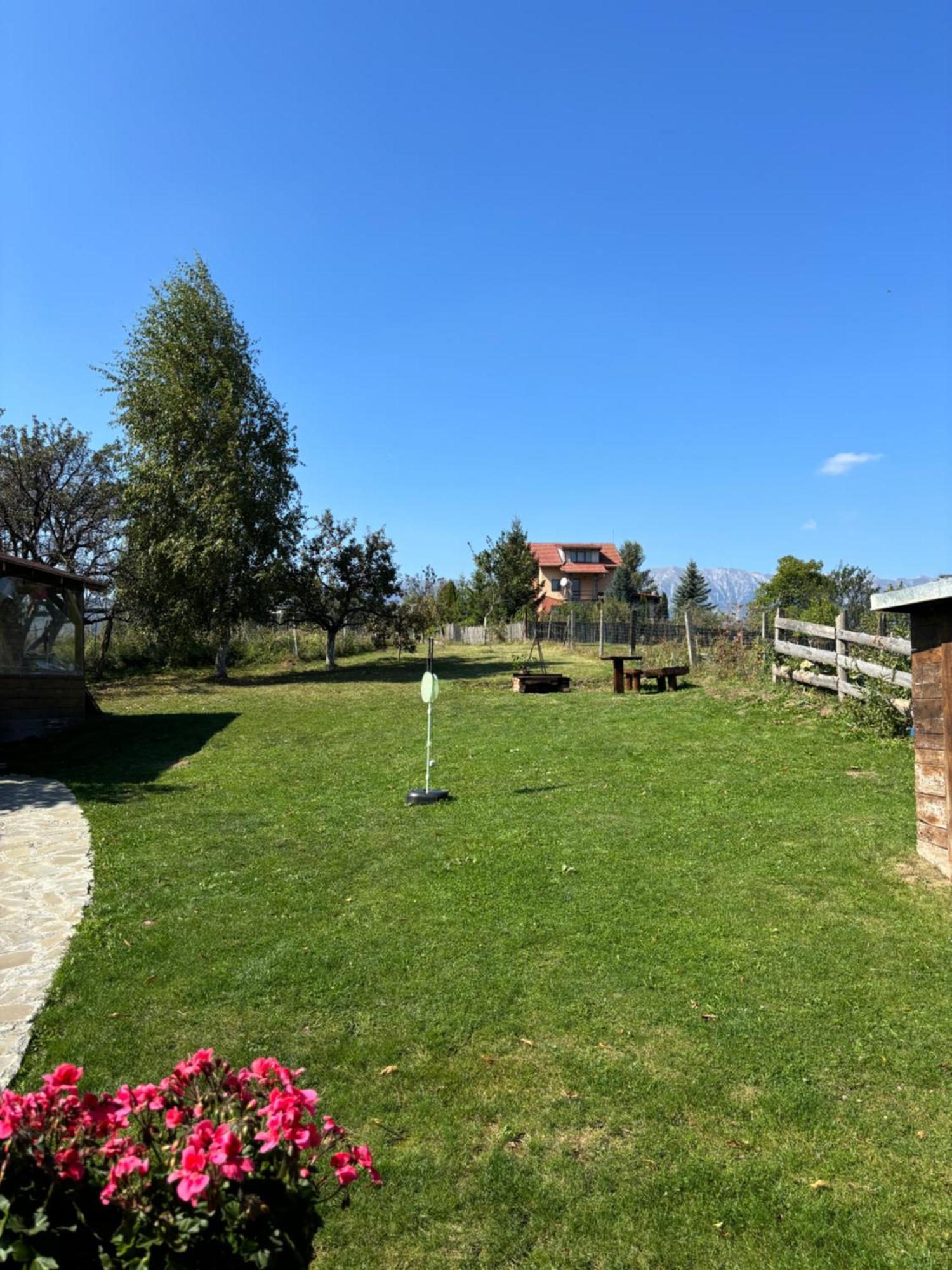 Transylvanian House Drumu Carului Zewnętrze zdjęcie
